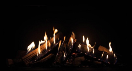 Газовый камин Schmid Lina G 67